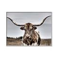 Picture of Longhorn Bull _GroupedProduct_Rectangle_Landscape_Photography _GroupedProduct_Rectangle_Landscape_Canvas_Framed_