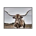 Picture of Longhorn Bull _GroupedProduct_Rectangle_Landscape_Photography _GroupedProduct_Rectangle_Landscape_Canvas_Framed_