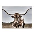 Picture of Longhorn Bull _GroupedProduct_Rectangle_Landscape_Photography _GroupedProduct_Rectangle_Landscape_Canvas_Framed_