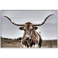 Picture of Longhorn Bull _GroupedProduct_Rectangle_Landscape_Photography _GroupedProduct_Rectangle_Landscape_Canvas_Framed_