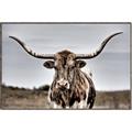 Picture of Longhorn Bull _GroupedProduct_Rectangle_Landscape_Photography _GroupedProduct_Rectangle_Landscape_Canvas_Framed_