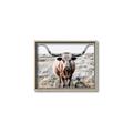 Picture of Longhorn Bull II _GroupedProduct_Rectangle_Landscape_Photography _GroupedProduct_Rectangle_Landscape_Canvas_Framed_