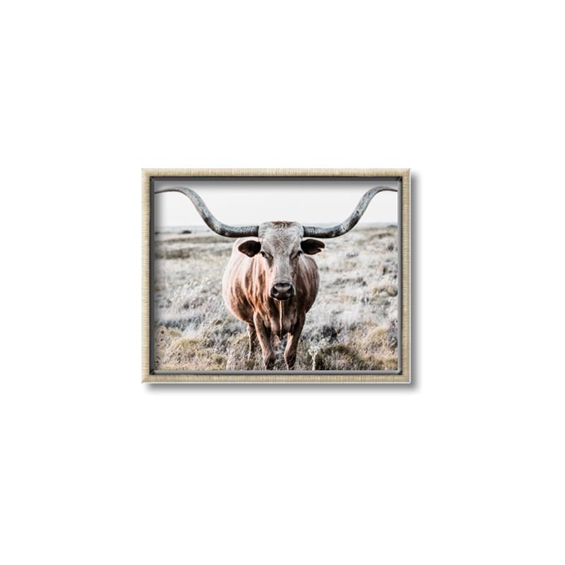 Picture of Longhorn Bull II _GroupedProduct_Rectangle_Landscape_Photography _GroupedProduct_Rectangle_Landscape_Canvas_Framed_