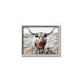 Picture of Longhorn Bull II _GroupedProduct_Rectangle_Landscape_Photography _GroupedProduct_Rectangle_Landscape_Canvas_Framed_
