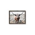 Picture of Longhorn Bull II _GroupedProduct_Rectangle_Landscape_Photography _GroupedProduct_Rectangle_Landscape_Canvas_Framed_