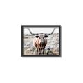 Picture of Longhorn Bull II _GroupedProduct_Rectangle_Landscape_Photography _GroupedProduct_Rectangle_Landscape_Canvas_Framed_