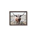 Picture of Longhorn Bull II _GroupedProduct_Rectangle_Landscape_Photography _GroupedProduct_Rectangle_Landscape_Canvas_Framed_