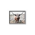 Picture of Longhorn Bull II _GroupedProduct_Rectangle_Landscape_Photography _GroupedProduct_Rectangle_Landscape_Canvas_Framed_