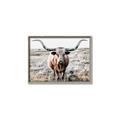 Picture of Longhorn Bull II _GroupedProduct_Rectangle_Landscape_Photography _GroupedProduct_Rectangle_Landscape_Canvas_Framed_