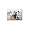 Picture of Longhorn Bull II _GroupedProduct_Rectangle_Landscape_Photography _GroupedProduct_Rectangle_Landscape_Canvas_Framed_