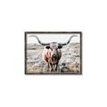 Picture of Longhorn Bull II _GroupedProduct_Rectangle_Landscape_Photography _GroupedProduct_Rectangle_Landscape_Canvas_Framed_