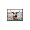 Picture of Longhorn Bull II _GroupedProduct_Rectangle_Landscape_Photography _GroupedProduct_Rectangle_Landscape_Canvas_Framed_