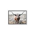 Picture of Longhorn Bull II _GroupedProduct_Rectangle_Landscape_Photography _GroupedProduct_Rectangle_Landscape_Canvas_Framed_