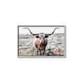 Picture of Longhorn Bull II _GroupedProduct_Rectangle_Landscape_Photography _GroupedProduct_Rectangle_Landscape_Canvas_Framed_