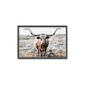 Picture of Longhorn Bull II _GroupedProduct_Rectangle_Landscape_Photography _GroupedProduct_Rectangle_Landscape_Canvas_Framed_