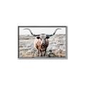 Picture of Longhorn Bull II _GroupedProduct_Rectangle_Landscape_Photography _GroupedProduct_Rectangle_Landscape_Canvas_Framed_