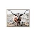 Picture of Longhorn Bull II _GroupedProduct_Rectangle_Landscape_Photography _GroupedProduct_Rectangle_Landscape_Canvas_Framed_
