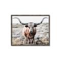 Picture of Longhorn Bull II _GroupedProduct_Rectangle_Landscape_Photography _GroupedProduct_Rectangle_Landscape_Canvas_Framed_