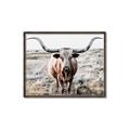 Picture of Longhorn Bull II _GroupedProduct_Rectangle_Landscape_Photography _GroupedProduct_Rectangle_Landscape_Canvas_Framed_