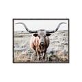 Picture of Longhorn Bull II _GroupedProduct_Rectangle_Landscape_Photography _GroupedProduct_Rectangle_Landscape_Canvas_Framed_