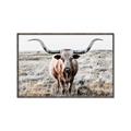 Picture of Longhorn Bull II _GroupedProduct_Rectangle_Landscape_Photography _GroupedProduct_Rectangle_Landscape_Canvas_Framed_