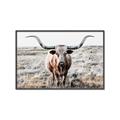 Picture of Longhorn Bull II _GroupedProduct_Rectangle_Landscape_Photography _GroupedProduct_Rectangle_Landscape_Canvas_Framed_