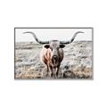 Picture of Longhorn Bull II _GroupedProduct_Rectangle_Landscape_Photography _GroupedProduct_Rectangle_Landscape_Canvas_Framed_