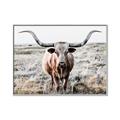 Picture of Longhorn Bull II _GroupedProduct_Rectangle_Landscape_Photography _GroupedProduct_Rectangle_Landscape_Canvas_Framed_