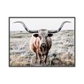 Picture of Longhorn Bull II _GroupedProduct_Rectangle_Landscape_Photography _GroupedProduct_Rectangle_Landscape_Canvas_Framed_