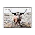 Picture of Longhorn Bull II _GroupedProduct_Rectangle_Landscape_Photography _GroupedProduct_Rectangle_Landscape_Canvas_Framed_