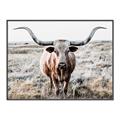 Picture of Longhorn Bull II _GroupedProduct_Rectangle_Landscape_Photography _GroupedProduct_Rectangle_Landscape_Canvas_Framed_