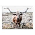 Picture of Longhorn Bull II _GroupedProduct_Rectangle_Landscape_Photography _GroupedProduct_Rectangle_Landscape_Canvas_Framed_