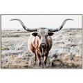Picture of Longhorn Bull II _GroupedProduct_Rectangle_Landscape_Photography _GroupedProduct_Rectangle_Landscape_Canvas_Framed_