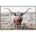 Picture of Longhorn Bull II _GroupedProduct_Rectangle_Landscape_Photography _GroupedProduct_Rectangle_Landscape_Canvas_Framed_