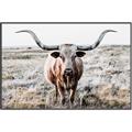 Picture of Longhorn Bull II _GroupedProduct_Rectangle_Landscape_Photography _GroupedProduct_Rectangle_Landscape_Canvas_Framed_