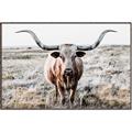 Picture of Longhorn Bull II _GroupedProduct_Rectangle_Landscape_Photography _GroupedProduct_Rectangle_Landscape_Canvas_Framed_