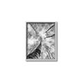 Picture of Look up Birch _GroupedProduct_Rectangle_Portrait_Photography _GroupedProduct_Rectangle_Portrait_Canvas_Framed_