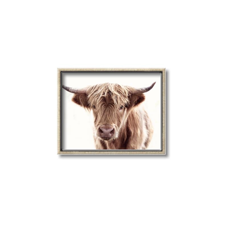 Picture of Maggie, the Cow  _GroupedProduct_Rectangle_Landscape_Photography _GroupedProduct_Rectangle_Landscape_Canvas_Framed_