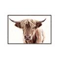 Picture of Maggie, the Cow  _GroupedProduct_Rectangle_Landscape_Photography _GroupedProduct_Rectangle_Landscape_Canvas_Framed_