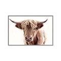 Picture of Maggie, the Cow  _GroupedProduct_Rectangle_Landscape_Photography _GroupedProduct_Rectangle_Landscape_Canvas_Framed_
