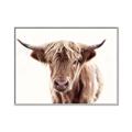Picture of Maggie, the Cow  _GroupedProduct_Rectangle_Landscape_Photography _GroupedProduct_Rectangle_Landscape_Canvas_Framed_