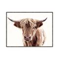 Picture of Maggie, the Cow  _GroupedProduct_Rectangle_Landscape_Photography _GroupedProduct_Rectangle_Landscape_Canvas_Framed_
