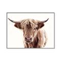 Picture of Maggie, the Cow  _GroupedProduct_Rectangle_Landscape_Photography _GroupedProduct_Rectangle_Landscape_Canvas_Framed_