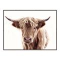 Picture of Maggie, the Cow  _GroupedProduct_Rectangle_Landscape_Photography _GroupedProduct_Rectangle_Landscape_Canvas_Framed_