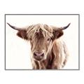 Picture of Maggie, the Cow  _GroupedProduct_Rectangle_Landscape_Photography _GroupedProduct_Rectangle_Landscape_Canvas_Framed_