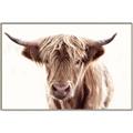 Picture of Maggie, the Cow  _GroupedProduct_Rectangle_Landscape_Photography _GroupedProduct_Rectangle_Landscape_Canvas_Framed_