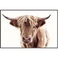 Picture of Maggie, the Cow  _GroupedProduct_Rectangle_Landscape_Photography _GroupedProduct_Rectangle_Landscape_Canvas_Framed_