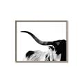 Picture of Max, the Bull _GroupedProduct_Rectangle_Landscape_Photography _GroupedProduct_Rectangle_Landscape_Canvas_Framed_
