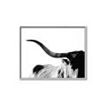 Picture of Max, the Bull _GroupedProduct_Rectangle_Landscape_Photography _GroupedProduct_Rectangle_Landscape_Canvas_Framed_