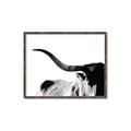 Picture of Max, the Bull _GroupedProduct_Rectangle_Landscape_Photography _GroupedProduct_Rectangle_Landscape_Canvas_Framed_